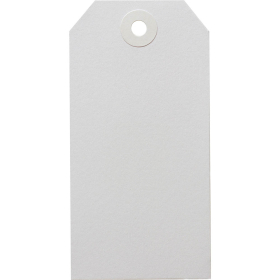 Avery 14160 shipping tag size '4' 108 x 54mm white box 1000 #A14160